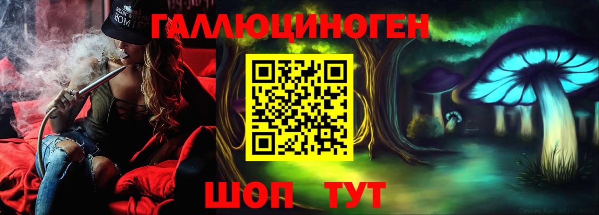 Галлюциногенные грибы GOLDEN TEACHER  Псилоцибиновые грибы GOLDEN TEACHER  Михайловка  Вход с VPN 