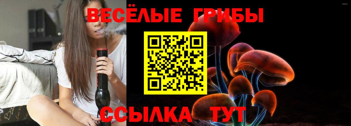 Псилоцибиновые грибы MAGIC MUSHROOMS Михайловка
